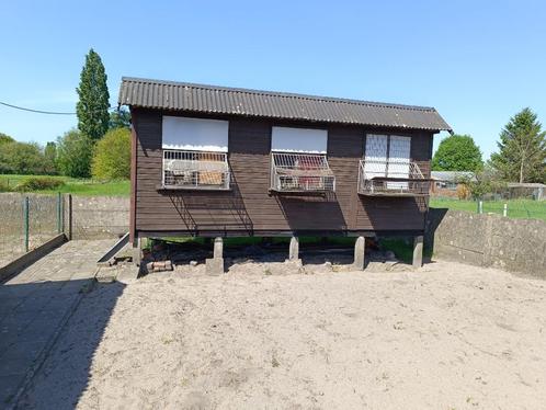 Duivenhok, Dieren en Toebehoren, Vogels | Duiven