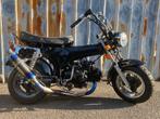 Lowrider Black avec Zero Rose Blue, Vélos & Vélomoteurs, 4 vitesses, Enlèvement ou Envoi, Neuf, 49 cm³