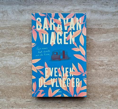 Caravandagen, Evelien De Vlieger over burn-out en depressie, Boeken, Gezondheid, Dieet en Voeding, Nieuw, Ziekte en Allergie, Verzenden