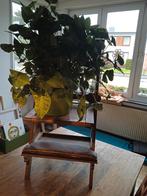 Planten boeken tafel, Ophalen, Zo goed als nieuw