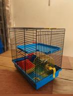 Kooi voor kleine dieren. Nieuw!, Nieuw, Hamster, Kooi, Minder dan 75 cm