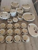 12delig servies set wawel poland porselein, Ophalen