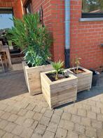 Plantenbakken in recup hout, Ophalen, Nieuw, Hout