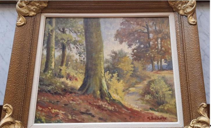 Enkele schilderijen, Antiek en Kunst, Kunst | Schilderijen | Klassiek, Ophalen