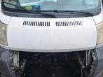 Capot Boxer Peugeot. Pull Citroën. Fiat Ducato, Autos : Pièces & Accessoires, Enlèvement ou Envoi, Fiat