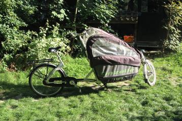 Gazelle bakfiets beschikbaar voor biedingen