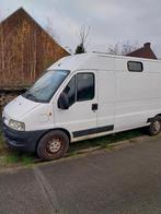 camionnette aménagée, Voorwielaandrijving, 4 deurs, 4 cilinders, Wit