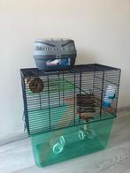 Hamster kooi, Dieren en Toebehoren, Knaagdieren en Konijnen | Hokken en Kooien, Kooi, Gebruikt, Minder dan 75 cm, Hamster