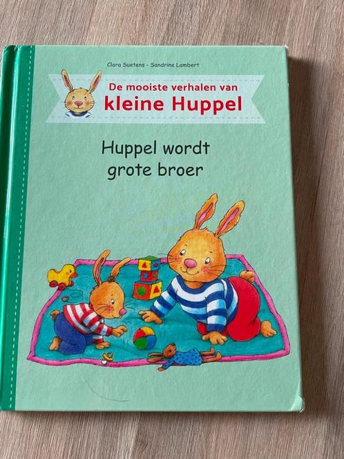 Kleine Huppel wordt grote broer, Boeken, Kinderboeken | Kleuters, Ophalen of Verzenden