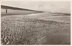 BELGISCHE  KUST -  Verlaten Strand, Gelopen, 1960 tot 1980, West-Vlaanderen, Verzenden