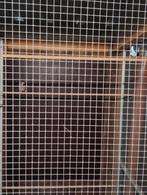 Kweekkoppel Europese Appelvink, Dieren en Toebehoren, Vogels | Overige Vogels, Wildzangvogel, Geringd