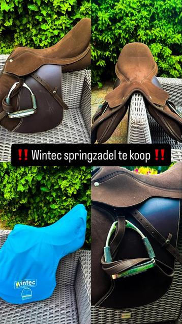 Bruin Wintec springzadel te koop, Enlèvement, Utilisé, Obstacle