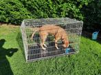 Reisbench kennel grote hond cm: 120*70 en 80 hoog, Dieren en Toebehoren, Hondenbenches, Ophalen, Gebruikt