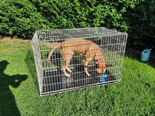 Reisbench kennel grote hond cm: 120*70 en 80 hoog, Dieren en Toebehoren, Hondenbenches, Gebruikt, Ophalen