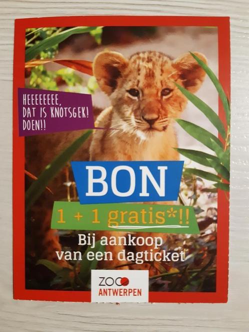 1+1 gratis Antwerpse Zoo - tem 31/12/24, Tickets & Billets, Loisirs | Jardins zoologiques, Deux personnes, Carte de réduction