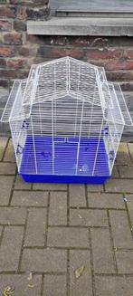 cage a oiseaux, Ophalen