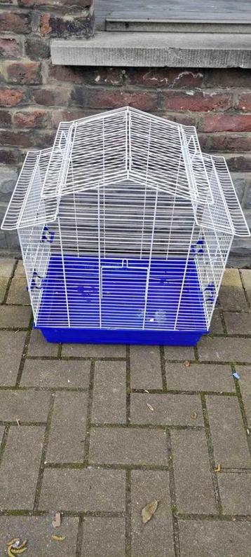 cage a oiseaux beschikbaar voor biedingen
