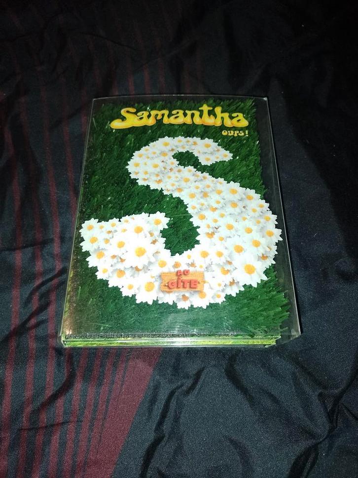 A vendre en coffret DVD l'intégral Samantha oups le gîte, CD & DVD, DVD | Cabaret & Sketchs, Comme neuf, Programmes TV ou Sketchs