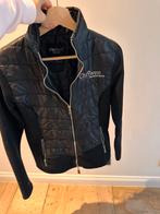 Chriwen jas maar xs, Dieren en Toebehoren, Gebruikt, Overige soorten, Ophalen of Verzenden, Dames