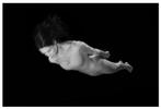Tom Callemin - Freefall, Ophalen of Verzenden