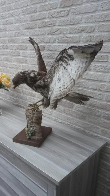 Opgezette buizerd, Enlèvement, Comme neuf, Oiseaux, Animal empaillé