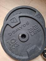 halteres poids 2x10kg, Sport en Fitness, Fitnessmaterialen, Ophalen, Gebruikt, Rug, Halterschijven