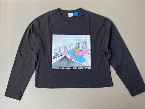 T-shirt à manches longues Dumbo Zara 164 NOUVEAU, Enfants & Bébés, Vêtements enfant | Taille 164, Neuf, Fille, Chemise ou À manches longues