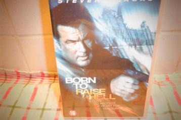 DVD Born To Raise Hell.(Steven Seagal) beschikbaar voor biedingen