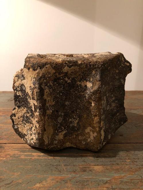 TAXIDERMIE CURIOSITEIT FOSSIELE WALVISWERVEL GROOT, Verzamelen, Mineralen en Fossielen, Fossiel, Ophalen of Verzenden