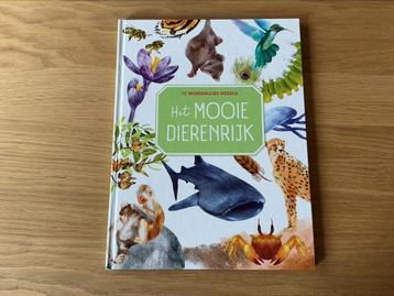 De wondere wereld - prima staat-rookvrije omgeving beschikbaar voor biedingen