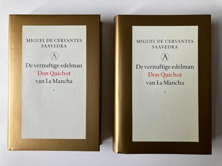Don Quichot - Miguel de Cervantes Saavedra, Boeken, Literatuur, Ophalen