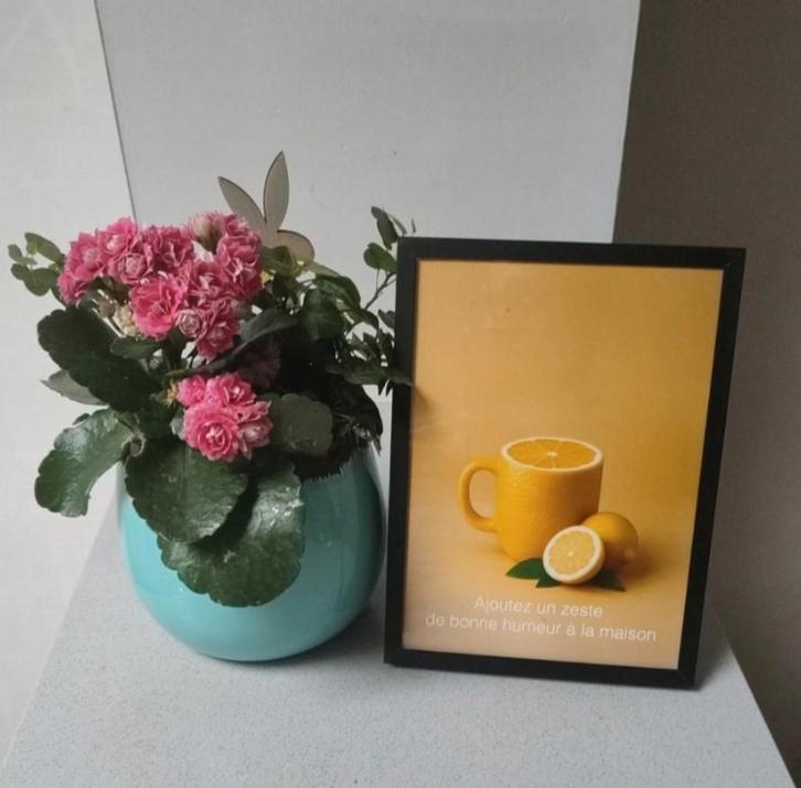 Cadre deco design citron texte modifiable sur demande, Huis en Inrichting, Woonaccessoires | Vazen, Zo goed als nieuw, Zwart, Ophalen