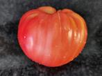 5 graines de grosses tomates Homestead Pink, Envoi, Printemps, Plein soleil, Graine