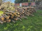 Lot hout op stam min 20 kuub aan 25 euro de kuub., Tuin en Terras, Brandhout, Ophalen, Stammen