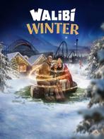 Tickets Walibi 7/12 walibi winter, Tickets en Kaartjes, Drie personen of meer, Ticket of Toegangskaart