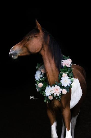 2 bloemenkransen te koop voor paarden beschikbaar voor biedingen