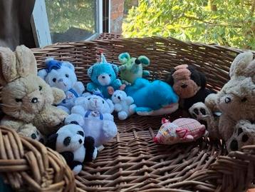 knuffel, knuffels beschikbaar voor biedingen