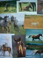 Postkaarten Paarden Divers lot van 10, Verzamelen, Postkaarten | Dieren, Paard, Ongelopen, Verzenden, 1980 tot heden