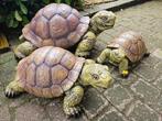 Schildpadden familie ..., Nieuw, Kunststof, Ophalen of Verzenden, Dierenbeeld