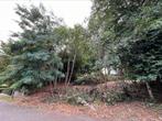 Noorse esdoorn brandhout, Ophalen