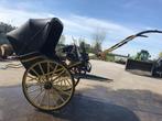 Sjees, Wagonette, Paard