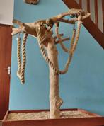 Echte javaboom voor grote papegaaien., Ophalen, Zo goed als nieuw, Overige typen