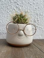 Mini bloempot met bril huisdecoratie, Ophalen, Zo goed als nieuw