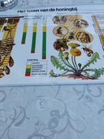 La vie de l'abeille, Collections, Enlèvement ou Envoi, Comme neuf