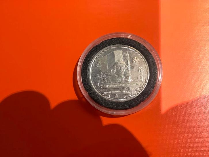 Munt, Eeuwfeest van de Grote Oorlog, In Flanders Fields, Postzegels en Munten, Munten | Europa | Niet-Euromunten, Losse munt, België