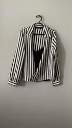 SHIRT + TOP New ZARA witte lijn zwart oversized L, Kleding | Dames, Blouses en Tunieken, Zara, Ophalen of Verzenden, Nieuw, Overige kleuren