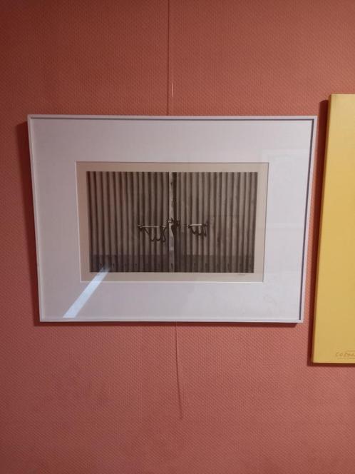 Roger Wittevrongel, Antiek en Kunst, Kunst | Litho's en Zeefdrukken, Ophalen