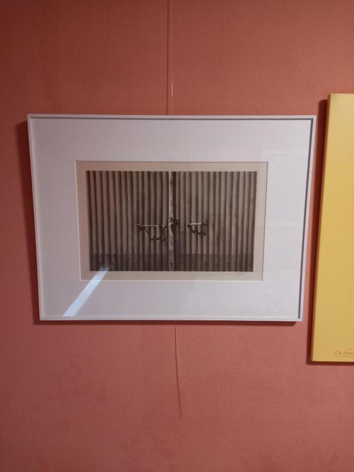 Roger Wittevrongel, Antiek en Kunst, Kunst | Litho's en Zeefdrukken, Ophalen