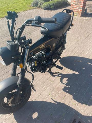 Bluroc DAX 50cc beschikbaar voor biedingen