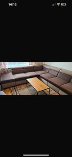 Hoekzetel bruin, Enlèvement, Comme neuf